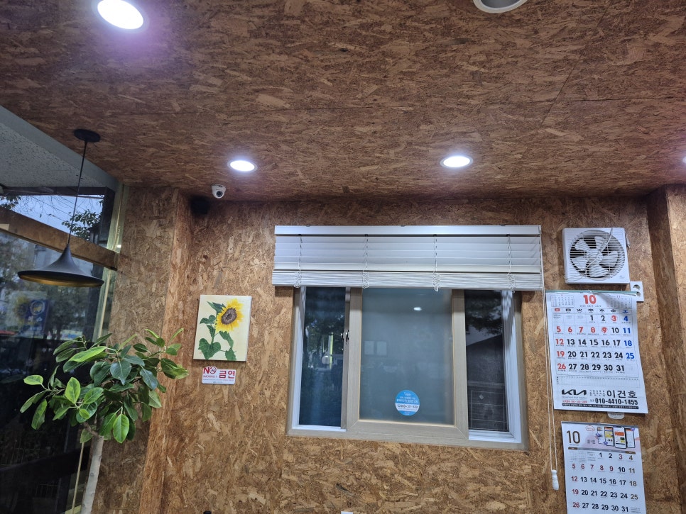 황금성 사진 4