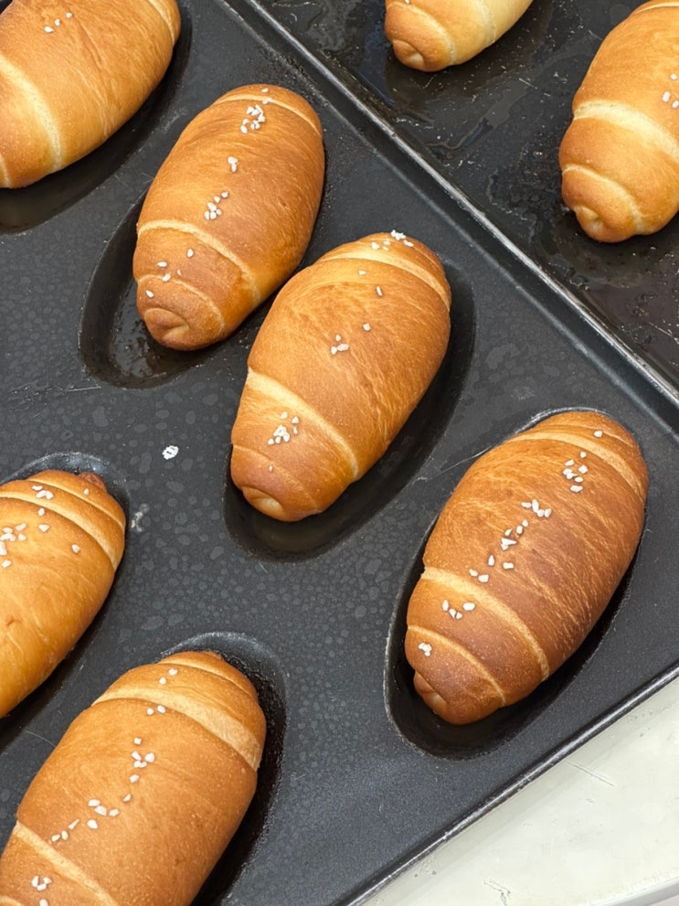 양산 물금 소금빵 맛집 카페로코코 양산증산점