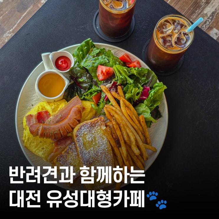  탑립커피 리뷰대전 애견동반카페에서 브런치까지!