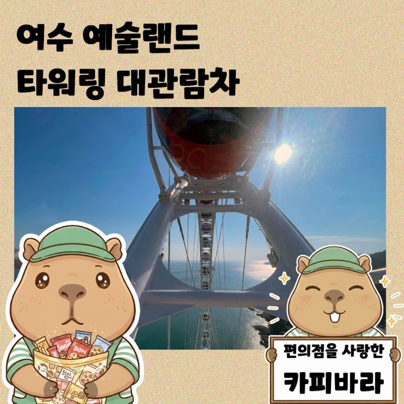 사진 8