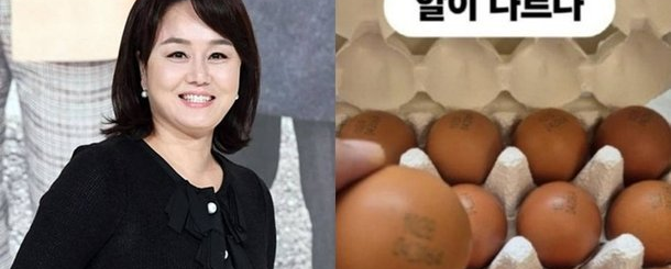 <b>이경실 달걀</b> 사업 <b>난각번호</b> 4번 <b>논란</b>과 소비자 반응