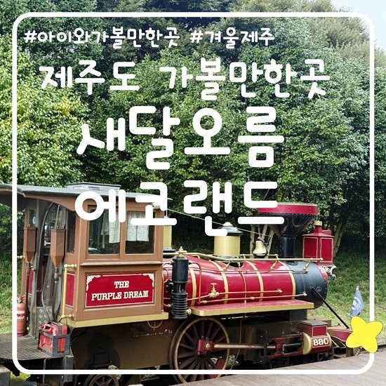 11월, 12월 겨울 제주도 여행 가볼만한곳, 아이와 가볼만한곳:새별 오름 & 에코랜드 방문 후기