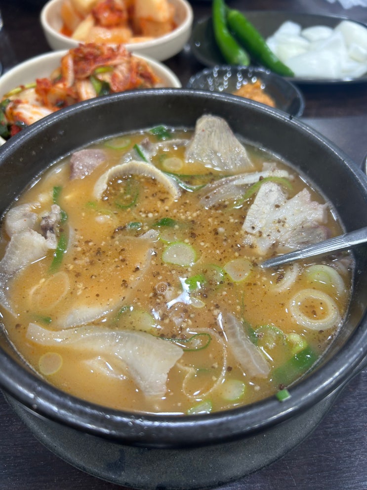  [강남역] 가볍게 반주하기 좋은 가성비 좋은 친절한 국밥 맛집 <시골국밥>