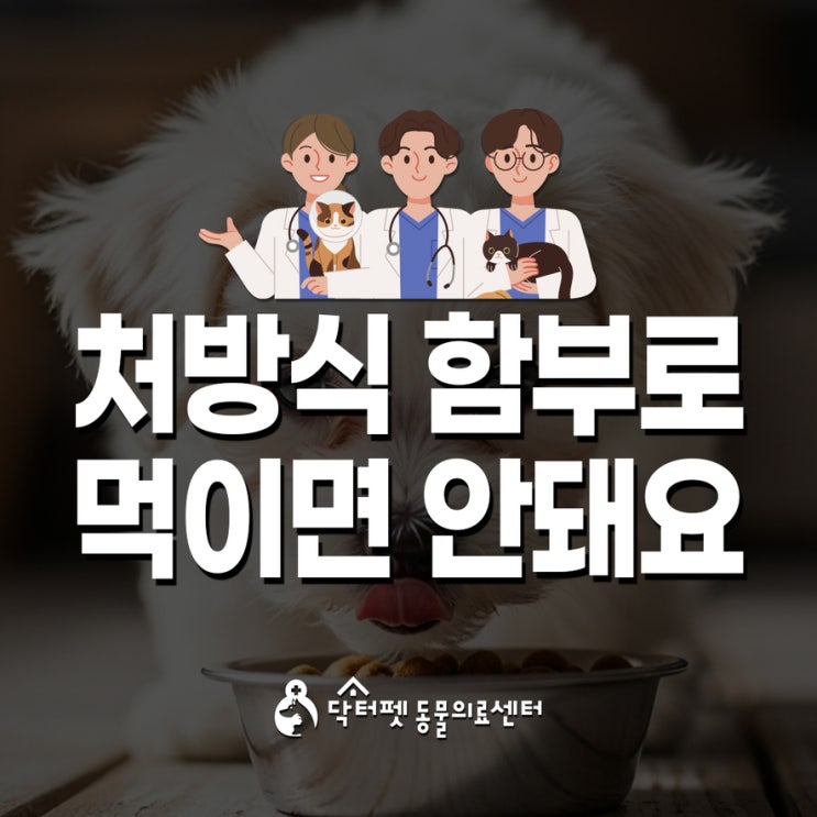  처방식 함부로 먹이면 안돼요? 강아지 고양이 심장병과 나트륨 저염식 상담 부산 동물병원