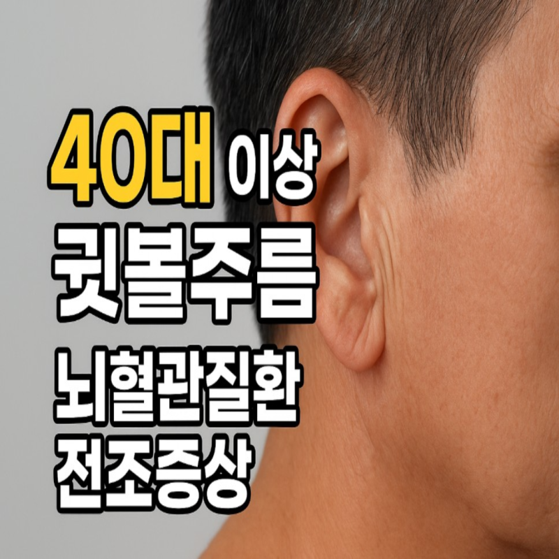 40대 이상 ‘귓볼주름’으로 알 수 있는 뇌혈관질환 전조증상