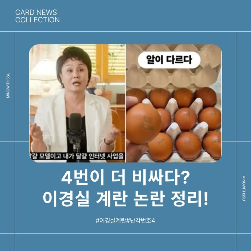 이경실 계란사업 논란 이유 공개… 난각번호 4번인데 왜 더 비쌀까?