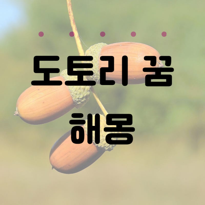 도토리 꿈 해몽 도토리 줍는 받는 꿈 해몽 풀이