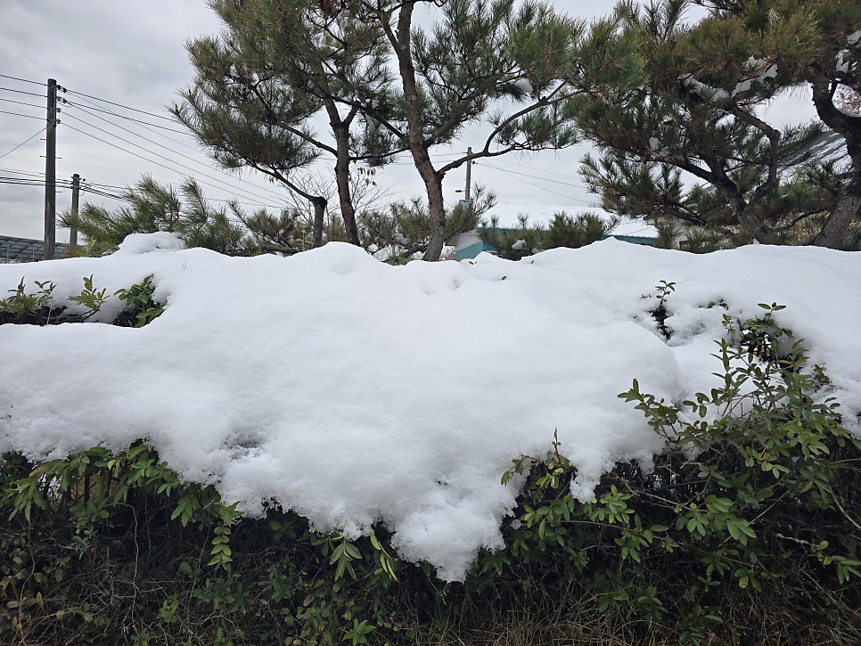 태고산 사진 3