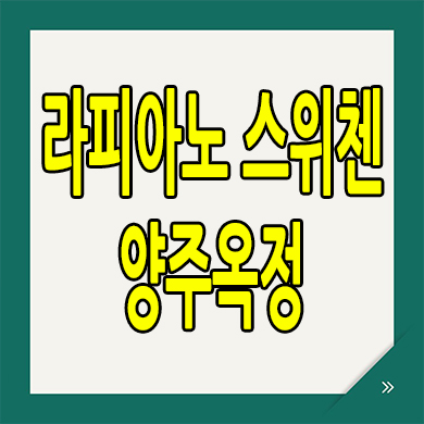  라피아노 스위첸 양주옥정 타운하우스 양주 옥정동 할인분양 단독주택