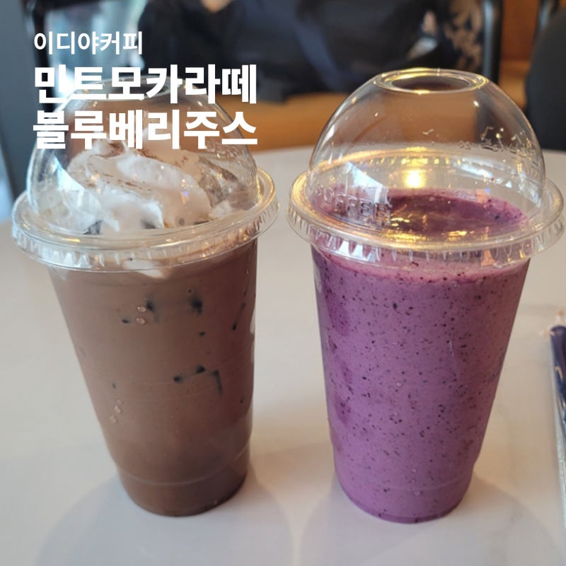 이디야 커피 민트카페모카 블루베리주스 칼로리