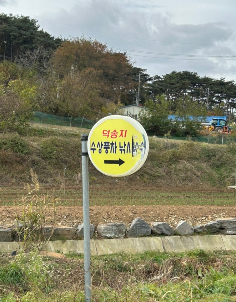 덕송지 사진 4