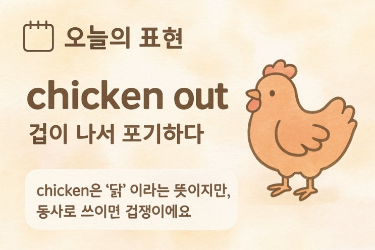  chicken은 명사로는 ‘닭’을 뜻하지만, 누군가를 겁쟁이라고 표현할 때도 사용!