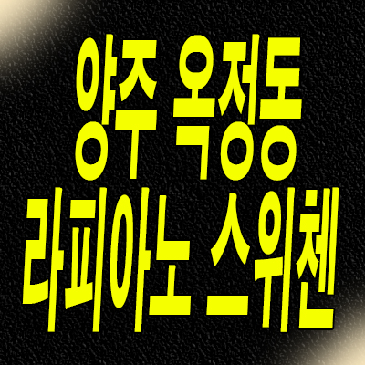  양주 옥정신도시 스위첸 타운하우스 옥정동 kcc 라피아노 단독주택