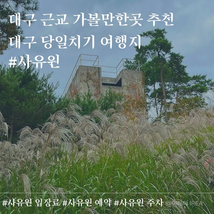  대구 근교 여행 가볼만한곳 사유원 입장료 예약 주차 (ft.대구 당일치기 여행지 추천)