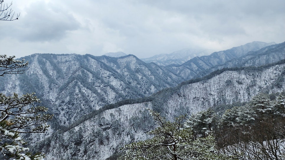 매봉산 사진 6