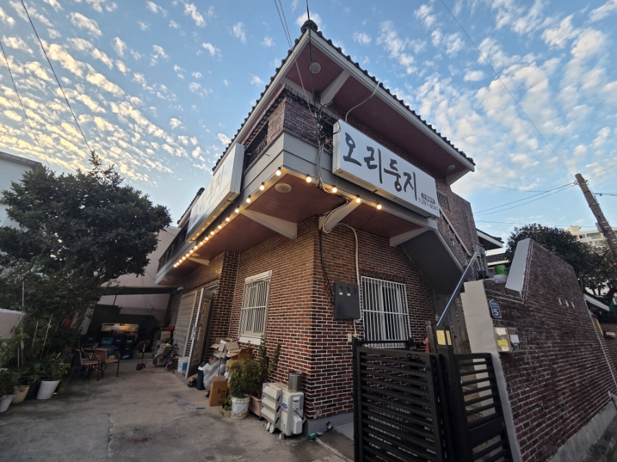 오리둥지 사진 2