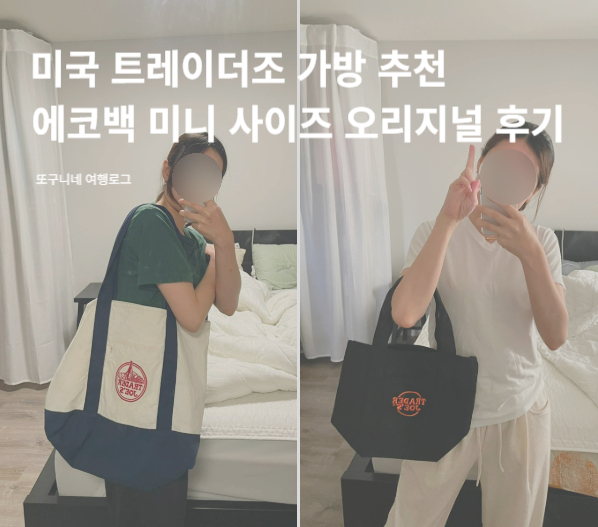  트레이더조 에코백 미니 사이즈 장바구니 오리지널 착용 후기, 미국 트레이더조 가방 추천