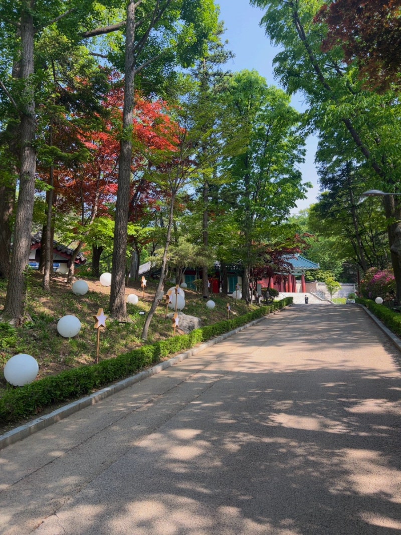 사진 4