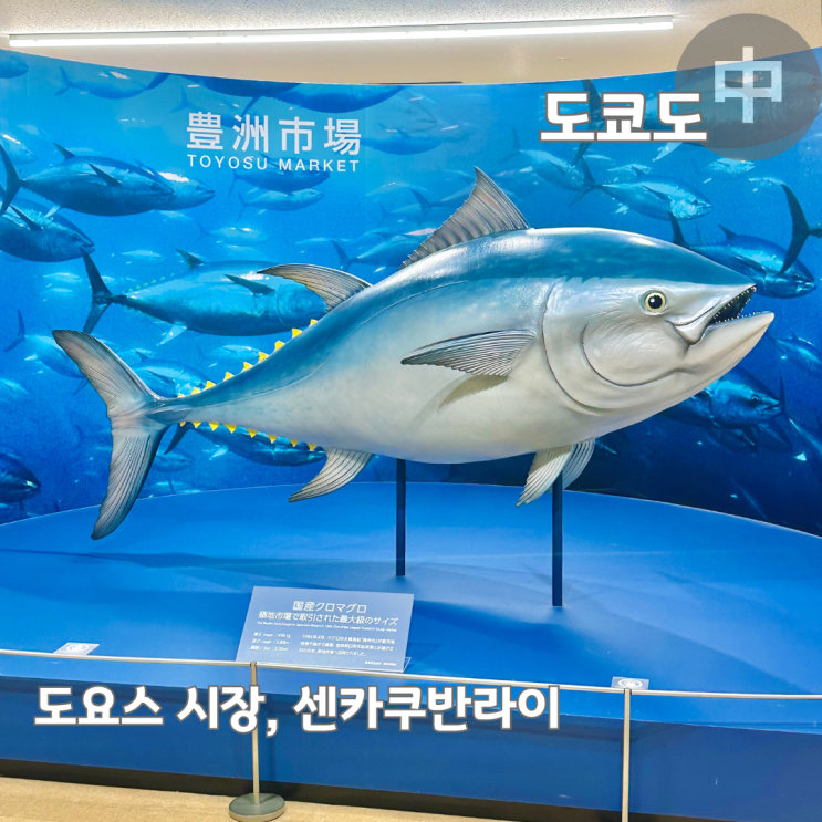  도쿄 가볼만한곳 도요스 시장 센카쿠반라이 전망대 무료 족욕