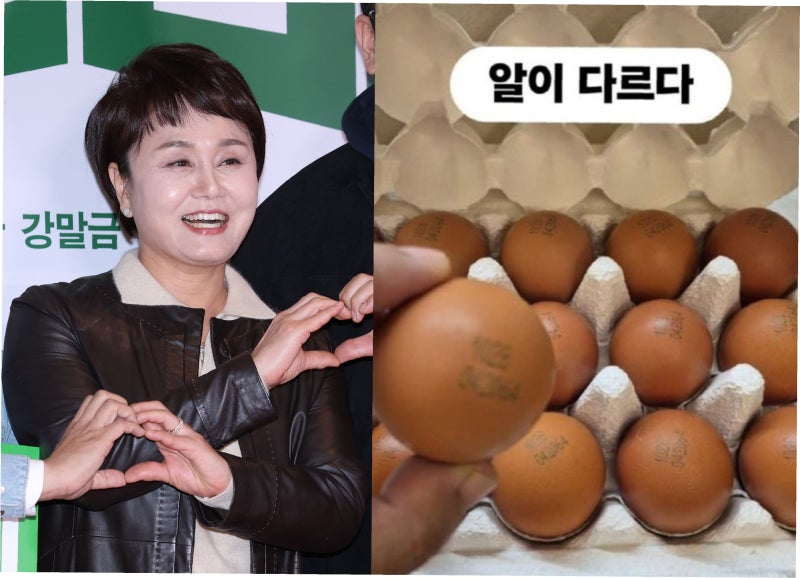 이경실 계란 사업, 난각번호 논란과 가격 책정의 엇갈린 시선: 소비자들은 무엇을 원할까?
