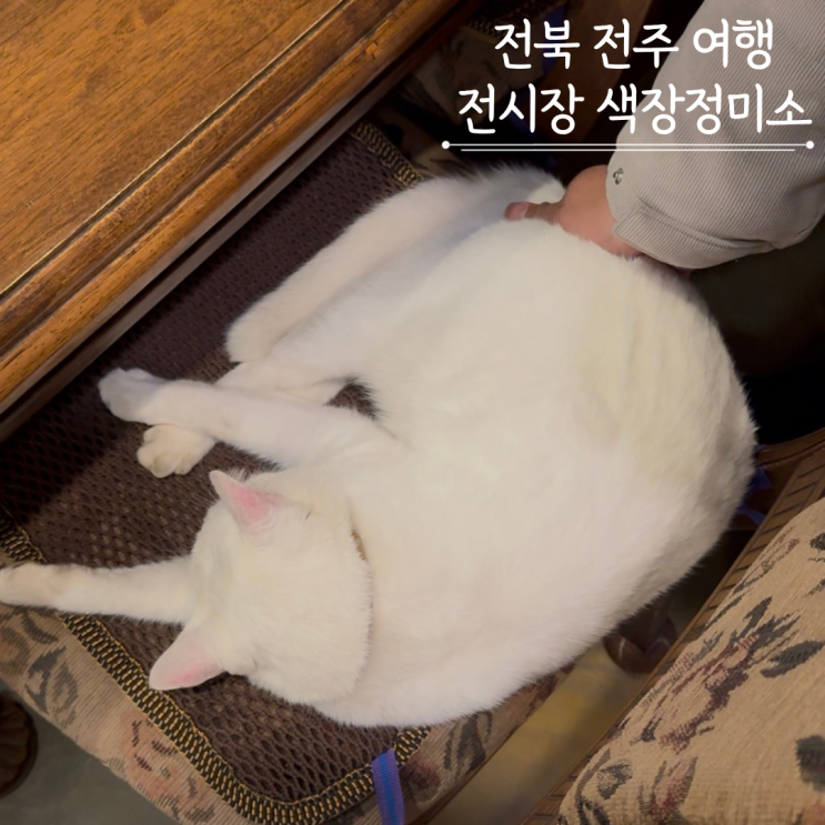  전주 가볼만한 곳 전시장색장정미소 지브리 카페