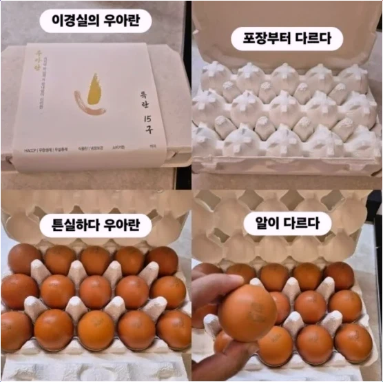  이경실 달걀 난각번호 4번 고가 판매 논란 핵심 분석!