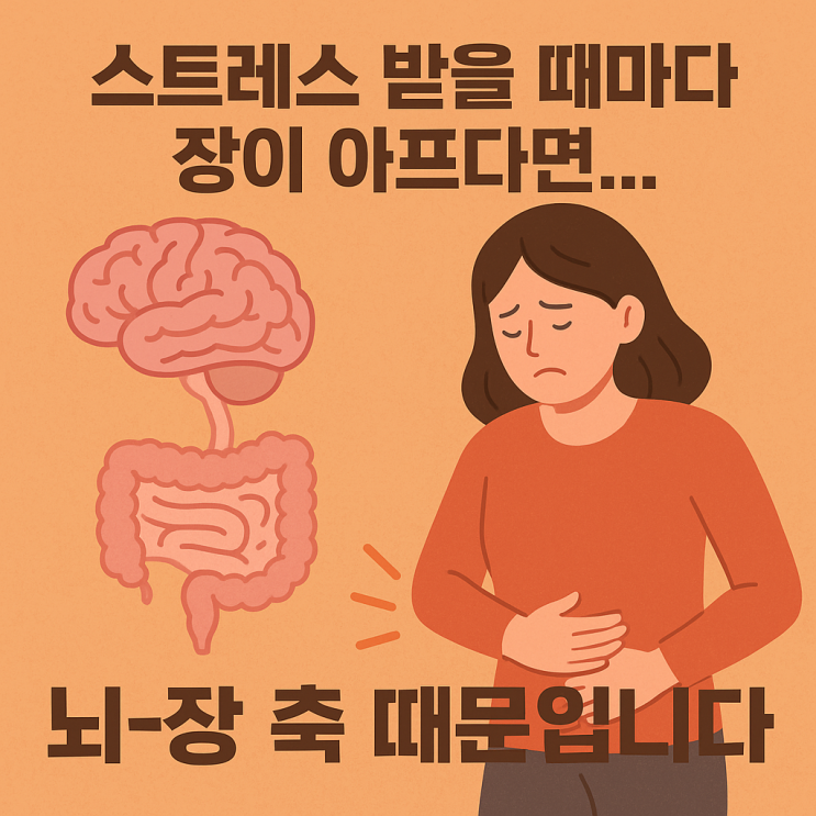  스트레스가 장을 망치는 진짜 메커니즘  뇌-장 축의 비밀