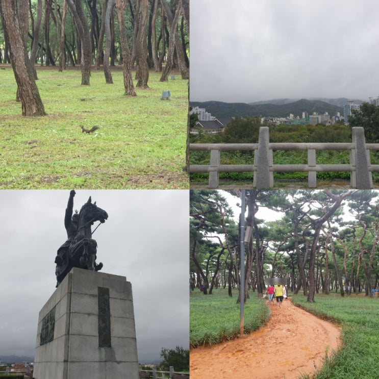  경주 황성공원 한적한 여행지 가을 산책로