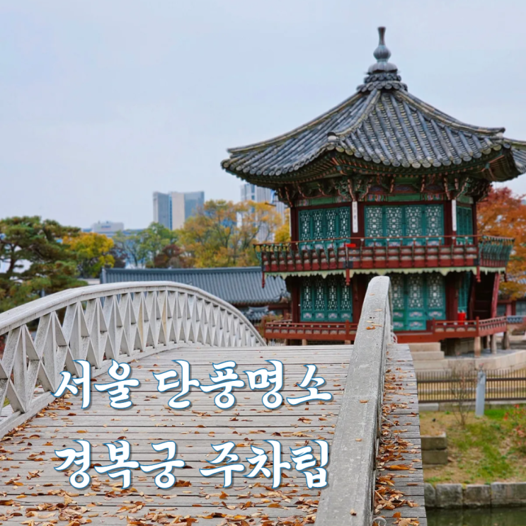  11월 서울 가볼만한곳 주말 경복궁 주차장 주차팁