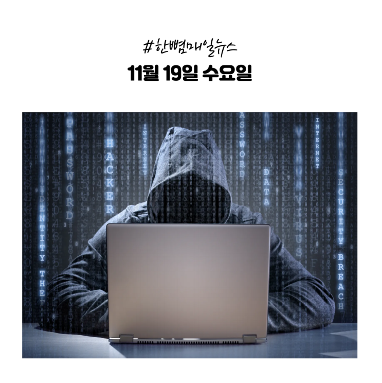  [매일뉴스] 11월19일(수) 특검 사무실서 술 먹고 외부인 데려오고