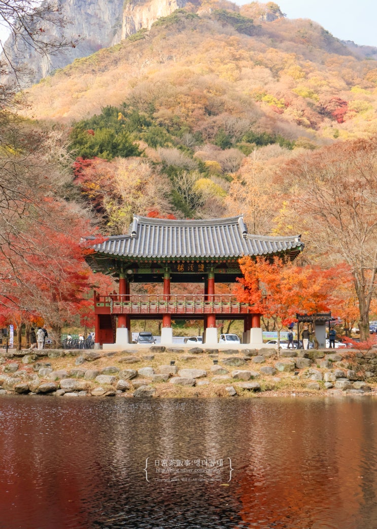  장성 백양사 단풍놀이 후기 광주 근교 단풍 가볼만한곳
