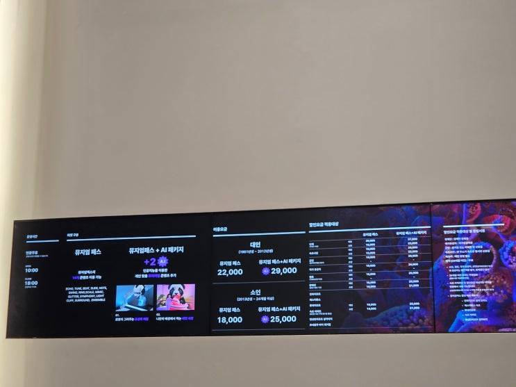  속초갈만한곳, 비 와도 걱정 없는 속초 뮤지엄엑스 다녀왔어요!
