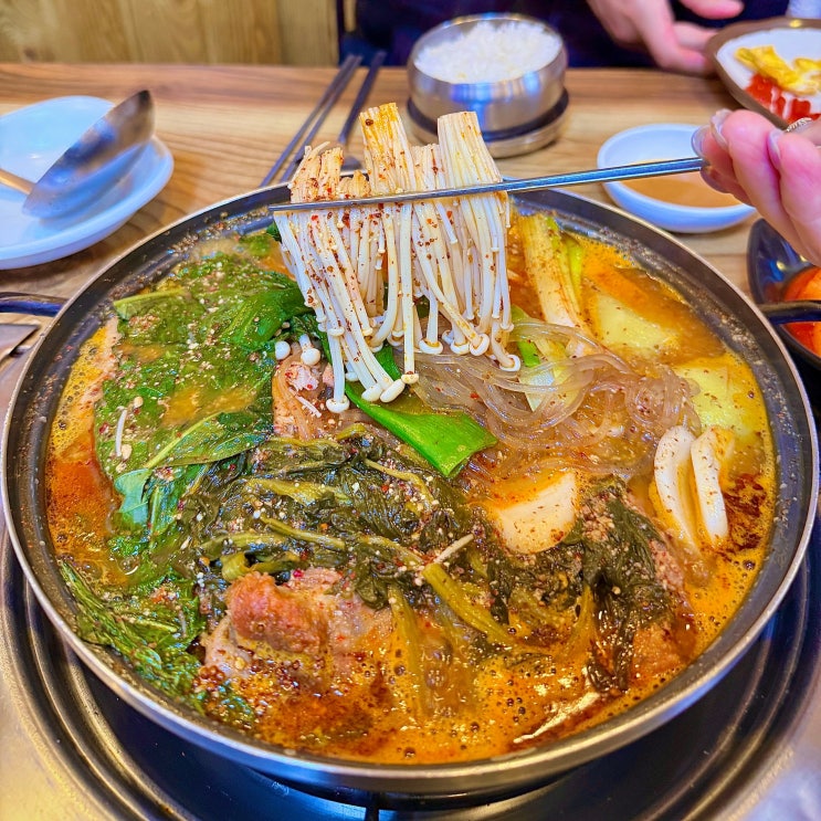  제주 공항 근처 맛집 연동 해장국 민속감자탕 제주도청 맛집