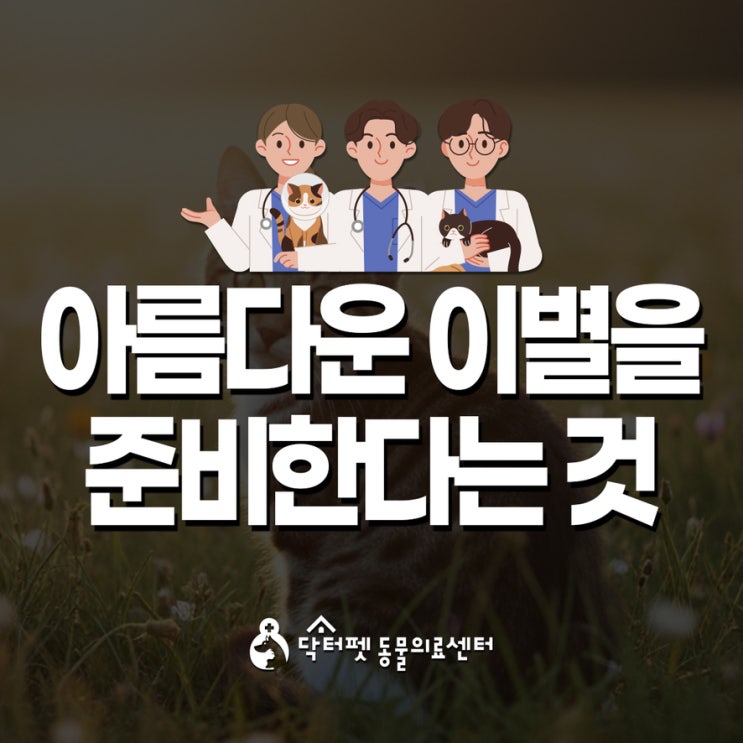  변화하는 강아지 고양이 장례 문화 아름다운 이별을 준비한다는 것 부산 전문진료 동물병원
