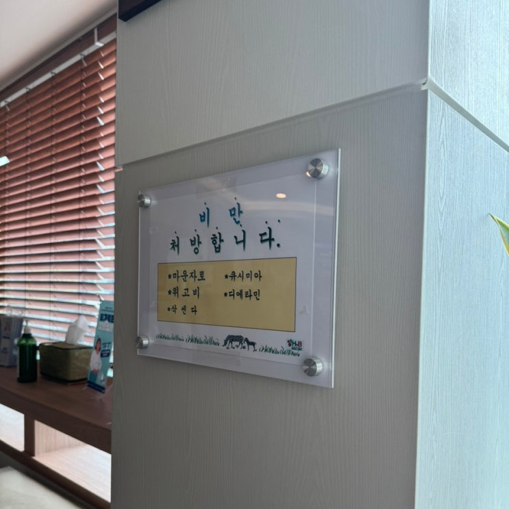  안암역 에이치엔비의원 귀 진물 고름 및 염증 주사