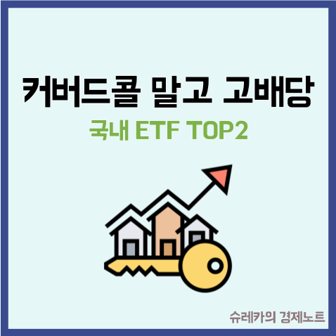  커버드콜 말고 배당 많이 주는 국내 고배당 ETF TOP2