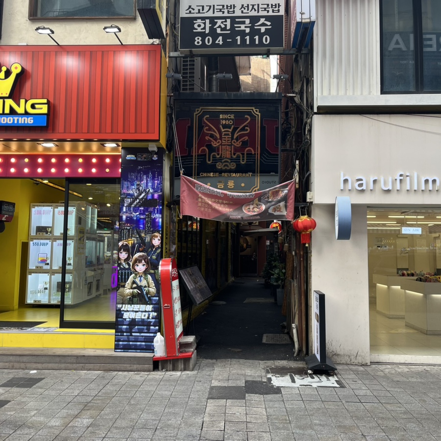 금룡 사진 1