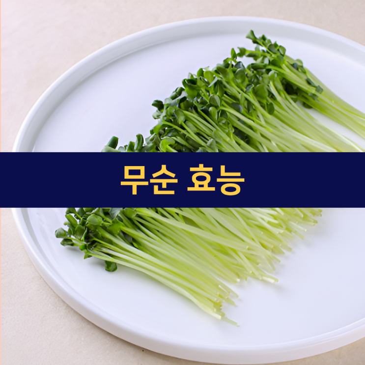  무순 효능 | 무순의 놀라운 건강 효능(효과)와 영양가 | 마이크로그린 | 생선회와 궁합이 좋은 이유