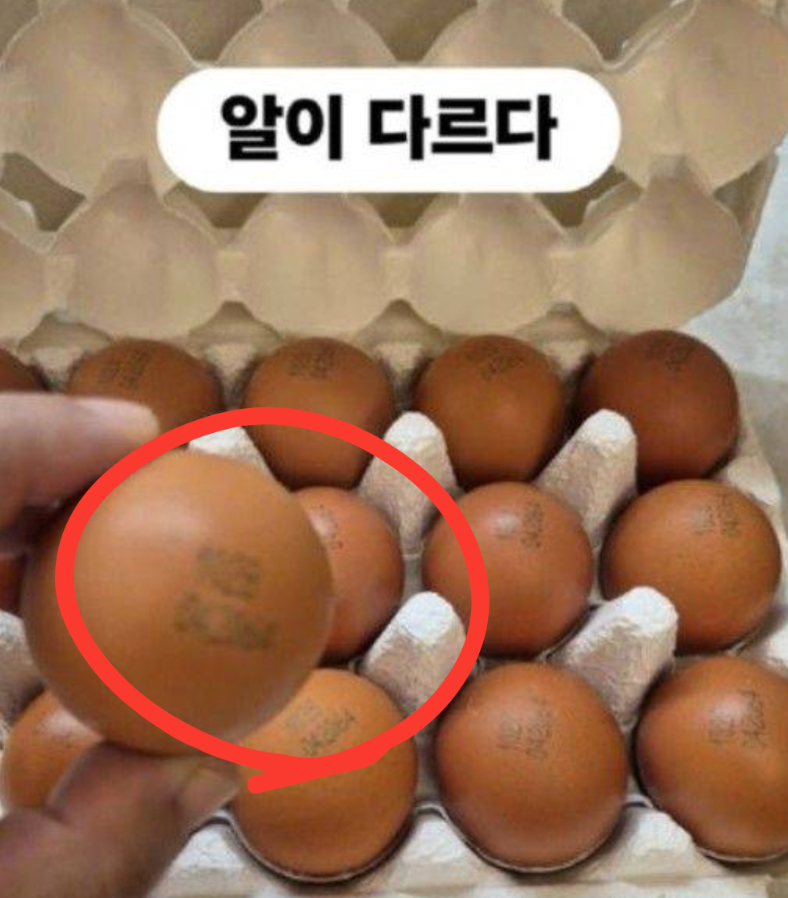 이경실 계란 달걀 논란, 난각번호 '4번'에 1만 5천원?