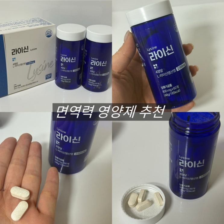  라이신 비타민비 면역력 영양제 추천