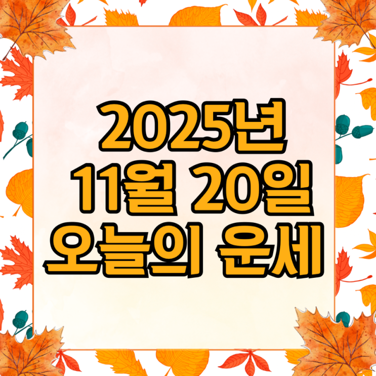  2025년 11월 20일 운세 오늘의운세 띠별운세