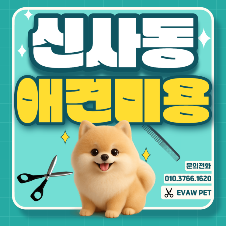  신사동애견미용학원 선택 기준, 반려 견 케어부터 직장인 이직·창업까지 연결되는 학원 추천