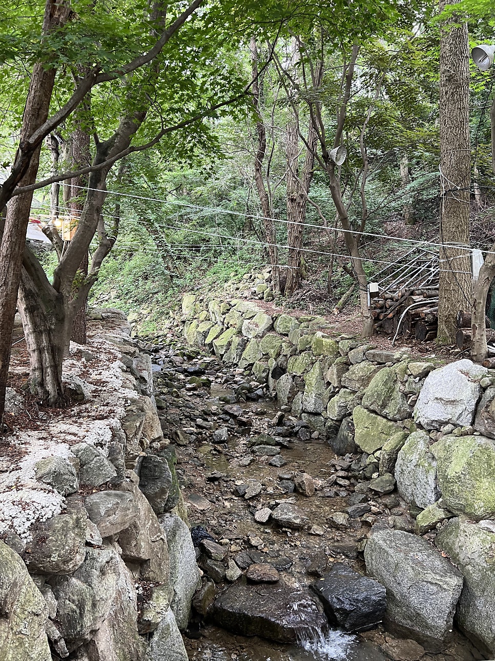 고골산장 사진 3