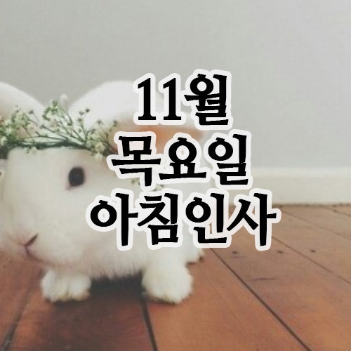  11월 인사말, 20일 목요일 아침인사 문자 이미지