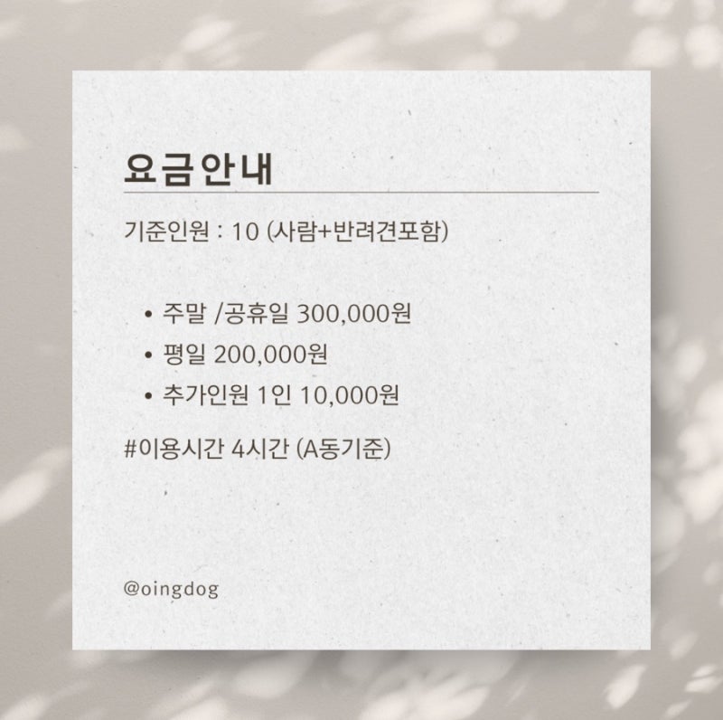 사진 3