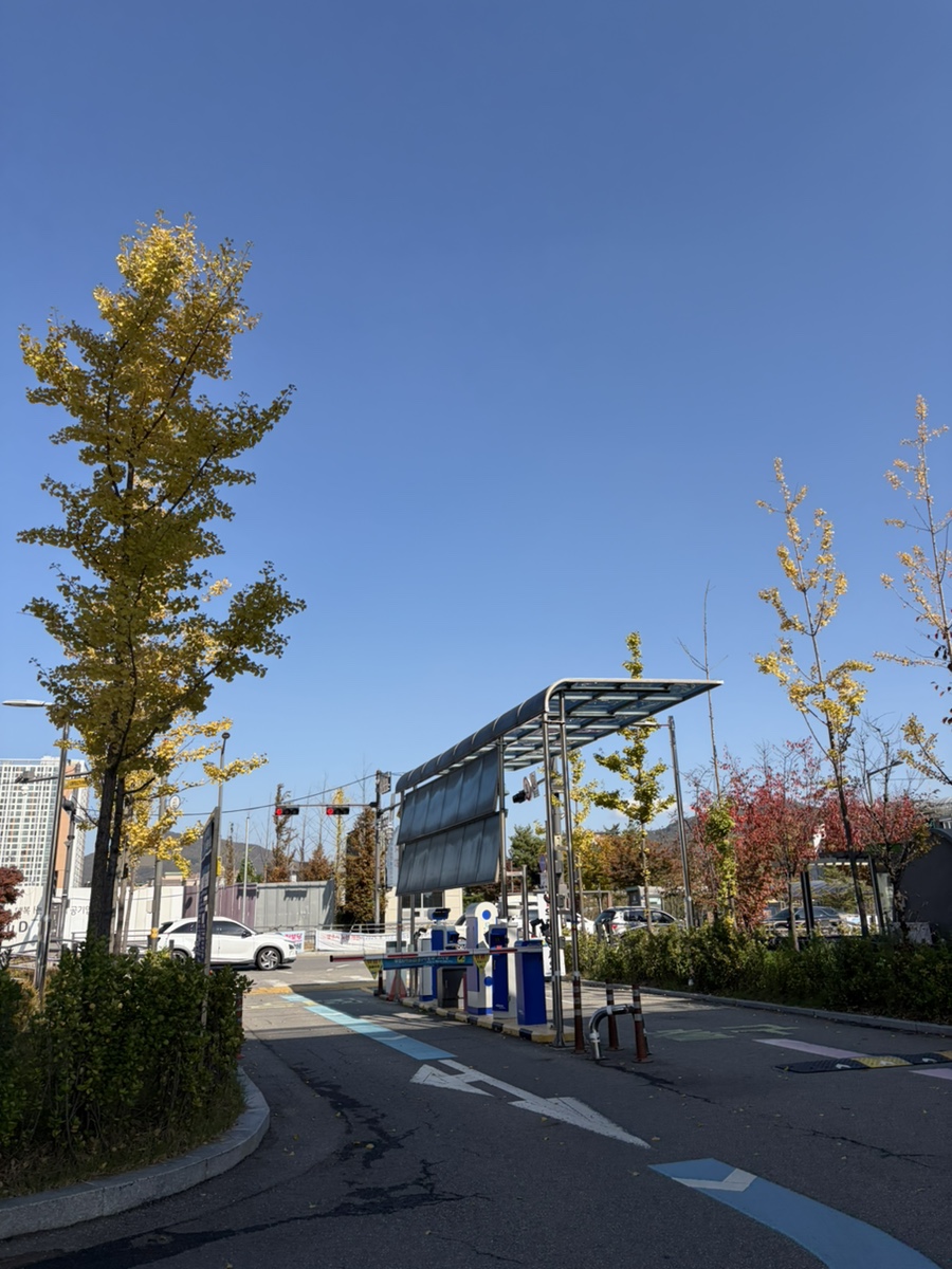 스테이아모 사진 2