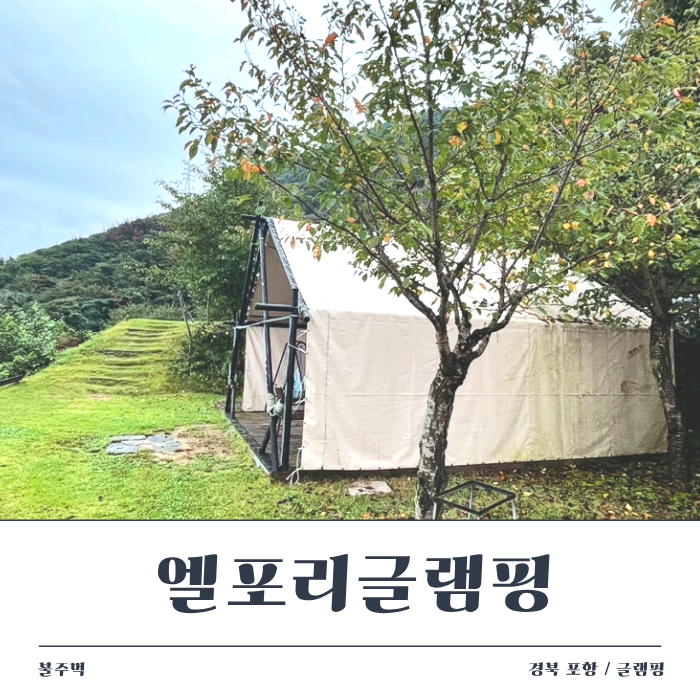 경주 근교 가족 글램핑 추천 / 포항 엘포리 글램핑장 리뷰