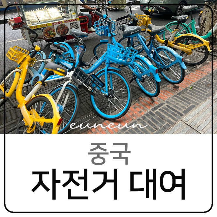  중국 상하이 베이징 자전거 타는법 알리페이 대여 방법
