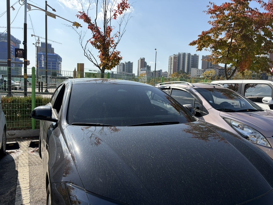 스테이아모 사진 3