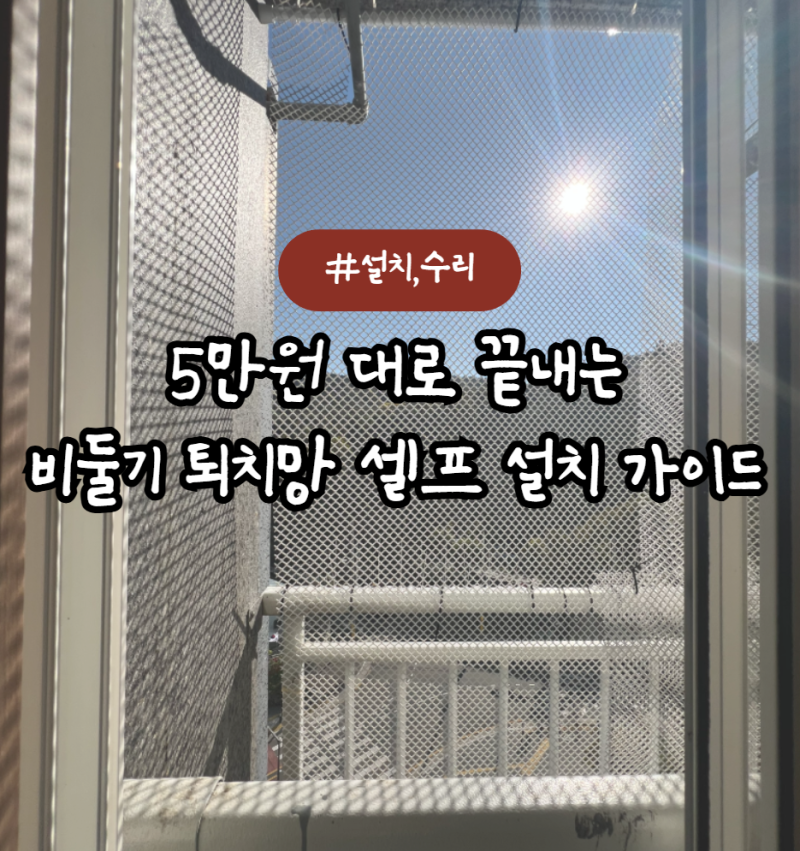 비둘기 퇴치망 버드스파이크 셀프 설치방법 비용 (feat.다이소)